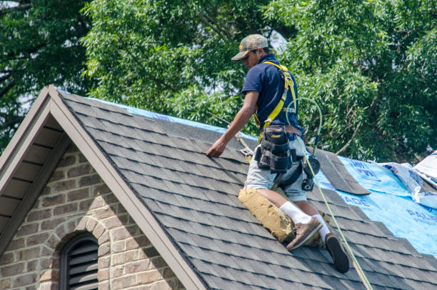 Best Shingle Roofing Installation  in Eufaula, OK